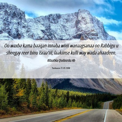Picture 06 - Yashuuca 21:45 SOM - Oo waxba kama baaqan innaba wixii wanaagsanaa oo - Bible Verse Picture