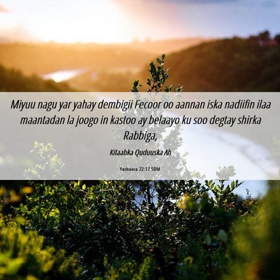 Picture 06 - Yashuuca 22:17 SOM - Miyuu nagu yar yahay dembigii Fecoor oo aannan - Bible Verse Picture