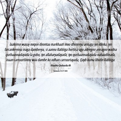 Picture 06 - Yashuuca 22:27 SOM - laakiinse waxay noqon doontaa markhaati inoo - Bible Verse Picture