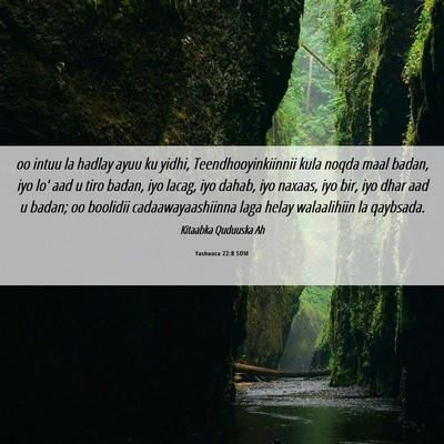 Picture 06 - Yashuuca 22:8 SOM - oo intuu la hadlay ayuu ku yidhi, - Bible Verse Picture