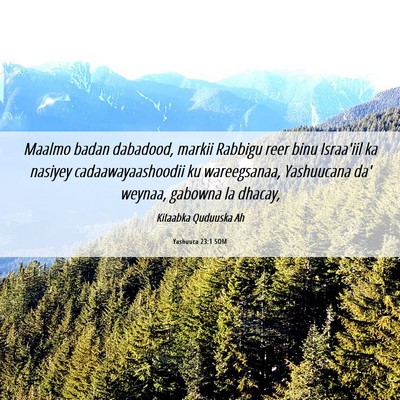 Picture 06 - Yashuuca 23:1 SOM - Maalmo badan dabadood, markii Rabbigu reer binu - Bible Verse Picture