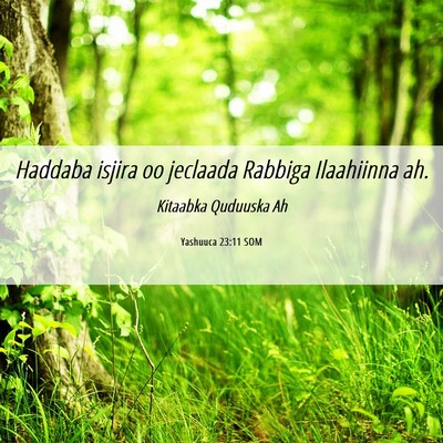Picture 06 - Yashuuca 23:11 SOM - Haddaba isjira oo jeclaada Rabbiga Ilaahiinna - Bible Verse Picture