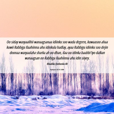 Picture 06 - Yashuuca 23:15 SOM - Oo siday waxyaalihii wanaagsanaa idiinku soo wada - Bible Verse Picture