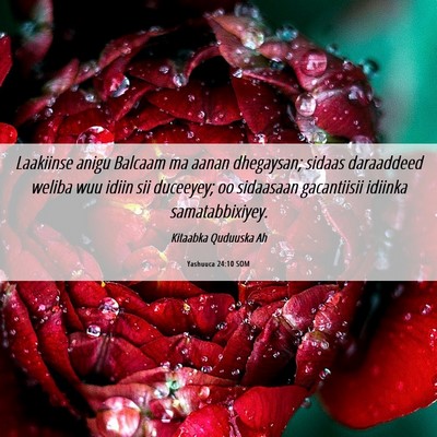 Picture 06 - Yashuuca 24:10 SOM - Laakiinse anigu Balcaam ma aanan dhegaysan; - Bible Verse Picture