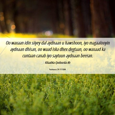 Picture 06 - Yashuuca 24:13 SOM - Oo waxaan idin siiyey dal aydnaan u hawshoon, iyo - Bible Verse Picture