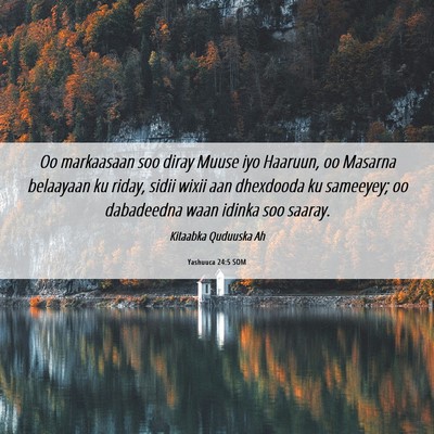 Picture 06 - Yashuuca 24:5 SOM - Oo markaasaan soo diray Muuse iyo Haaruun, oo - Bible Verse Picture