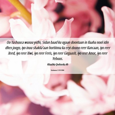 Picture 06 - Yashuuca 3:10 SOM - Oo Yashuuca wuxuu yidhi, Sidan baad ku ogaan - Bible Verse Picture