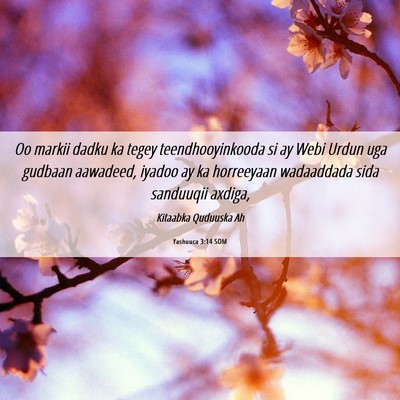 Picture 06 - Yashuuca 3:14 SOM - Oo markii dadku ka tegey teendhooyinkooda si ay - Bible Verse Picture