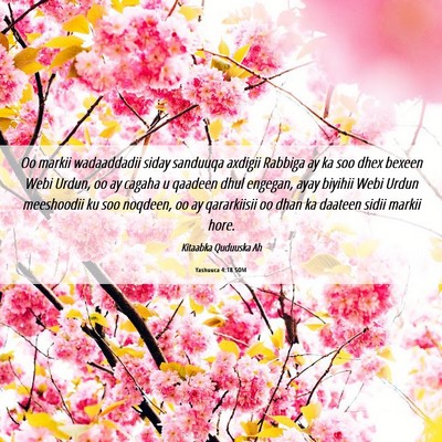 Picture 06 - Yashuuca 4:18 SOM - Oo markii wadaaddadii siday sanduuqa axdigii - Bible Verse Picture