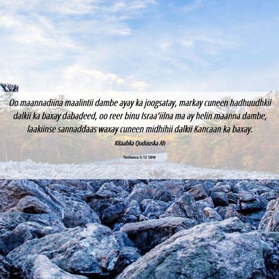 Picture 06 - Yashuuca 5:12 SOM - Oo maannadiina maalintii dambe ayay ka joogsatay, - Bible Verse Picture