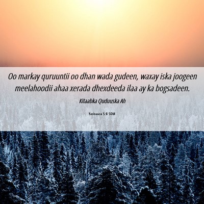 Picture 06 - Yashuuca 5:8 SOM - Oo markay quruuntii oo dhan wada gudeen, waxay - Bible Verse Picture