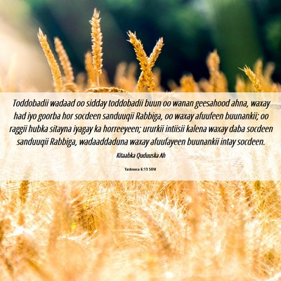 Picture 06 - Yashuuca 6:13 SOM - Toddobadii wadaad oo sidday toddobadii buun oo - Bible Verse Picture