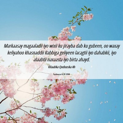 Picture 06 - Yashuuca 6:24 SOM - Markaasay magaaladii iyo wixii ku jirayba dab ku - Bible Verse Picture