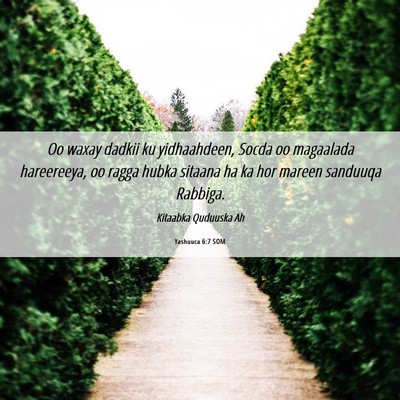 Picture 06 - Yashuuca 6:7 SOM - Oo waxay dadkii ku yidhaahdeen, Socda oo - Bible Verse Picture