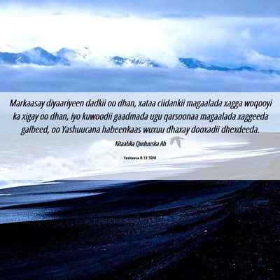 Picture 06 - Yashuuca 8:13 SOM - Markaasay diyaariyeen dadkii oo dhan, xataa - Bible Verse Picture