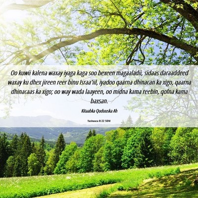 Picture 06 - Yashuuca 8:22 SOM - Oo kuwii kalena waxay iyaga kaga soo bexeen - Bible Verse Picture