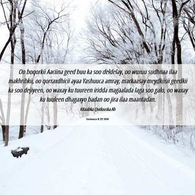 Picture 06 - Yashuuca 8:29 SOM - Oo boqorkii Aaciina geed buu ka soo deldelay, oo - Bible Verse Picture