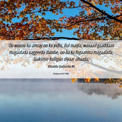 Picture 06 - Yashuuca 8:4 SOM - Oo wuxuu ku amray oo ku yidhi, Bal maqla, waxaad - Bible Verse Picture