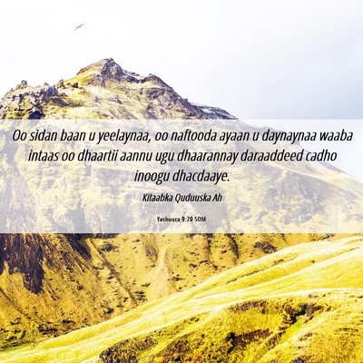 Picture 06 - Yashuuca 9:20 SOM - Oo sidan baan u yeelaynaa, oo naftooda ayaan u - Bible Verse Picture