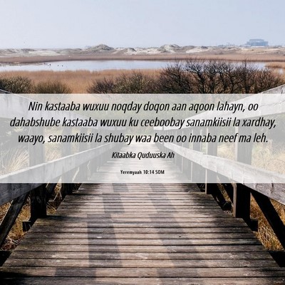 Picture 06 - Yeremyaah 10:14 SOM - Nin kastaaba wuxuu noqday doqon aan aqoon lahayn, - Bible Verse Picture