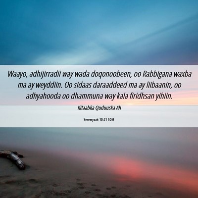 Picture 06 - Yeremyaah 10:21 SOM - Waayo, adhijirradii way wada doqonoobeen, oo - Bible Verse Picture