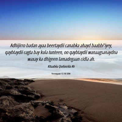Picture 06 - Yeremyaah 12:10 SOM - Adhijirro badan ayaa beertaydii canabka ahayd - Bible Verse Picture