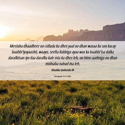 Picture 06 - Yeremyaah 12:12 SOM - Meelaha dhaadheer oo cidlada ku dhex yaal oo dhan - Bible Verse Picture