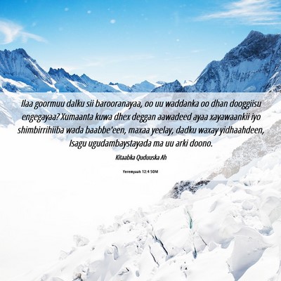 Picture 06 - Yeremyaah 12:4 SOM - Ilaa goormuu dalku sii barooranayaa, oo uu - Bible Verse Picture