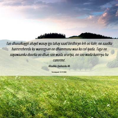 Picture 06 - Yeremyaah 12:9 SOM - Tan dhaxalkaygii ahayd waxay igu tahay xaad - Bible Verse Picture