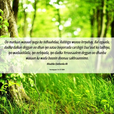 Picture 06 - Yeremyaah 13:13 SOM - Oo markaas waxaad iyaga ku tidhaahdaa, Rabbigu - Bible Verse Picture