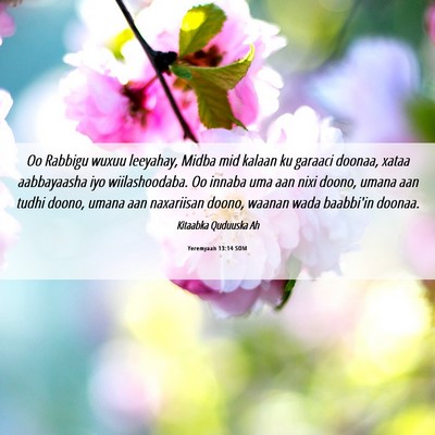 Picture 06 - Yeremyaah 13:14 SOM - Oo Rabbigu wuxuu leeyahay, Midba mid kalaan ku - Bible Verse Picture
