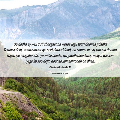 Picture 06 - Yeremyaah 14:16 SOM - Oo dadka ay wax u sii sheegaanna waxaa lagu tuuri - Bible Verse Picture