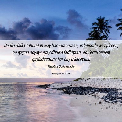 Picture 06 - Yeremyaah 14:2 SOM - Dadka dalka Yahuudah way barooranayaan, - Bible Verse Picture