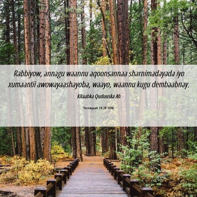 Picture 06 - Yeremyaah 14:20 SOM - Rabbiyow, annagu waannu aqoonsannaa - Bible Verse Picture