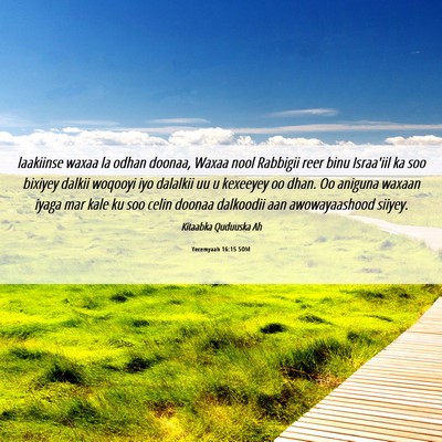 Picture 06 - Yeremyaah 16:15 SOM - laakiinse waxaa la odhan doonaa, Waxaa nool - Bible Verse Picture