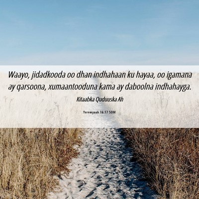 Picture 06 - Yeremyaah 16:17 SOM - Waayo, jidadkooda oo dhan indhahaan ku hayaa, oo - Bible Verse Picture