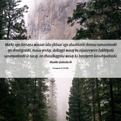 Picture 06 - Yeremyaah 16:18 SOM - Marka ugu horraysa waxaan laba jibbaar uga - Bible Verse Picture