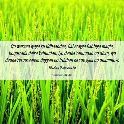 Picture 06 - Yeremyaah 17:20 SOM - Oo waxaad iyaga ku tidhaahdaa, Bal erayga Rabbiga - Bible Verse Picture