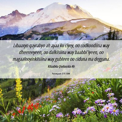 Picture 06 - Yeremyaah 2:15 SOM - Libaaxyo qayrabyo ah ayaa ku ciyey, oo - Bible Verse Picture