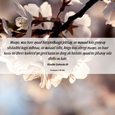 Picture 06 - Yeremyaah 2:20 SOM - Waayo, waa hore ayaad harqoodkaagii jebisay, oo - Bible Verse Picture