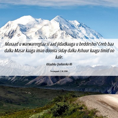Picture 06 - Yeremyaah 2:36 SOM - Maxaad u warwareegtaa si aad jidadkaaga u - Bible Verse Picture