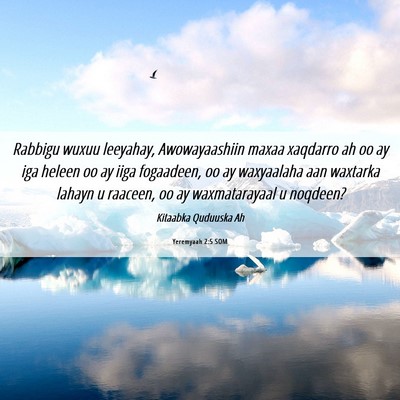 Picture 06 - Yeremyaah 2:5 SOM - Rabbigu wuxuu leeyahay, Awowayaashiin maxaa - Bible Verse Picture