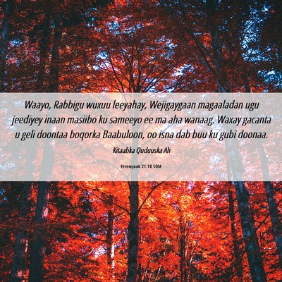 Picture 06 - Yeremyaah 21:10 SOM - Waayo, Rabbigu wuxuu leeyahay, Wejigaygaan - Bible Verse Picture