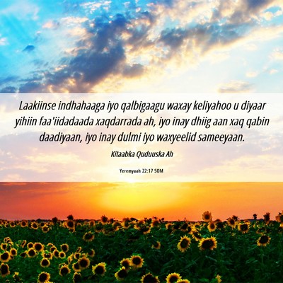 Picture 06 - Yeremyaah 22:17 SOM - Laakiinse indhahaaga iyo qalbigaagu waxay - Bible Verse Picture