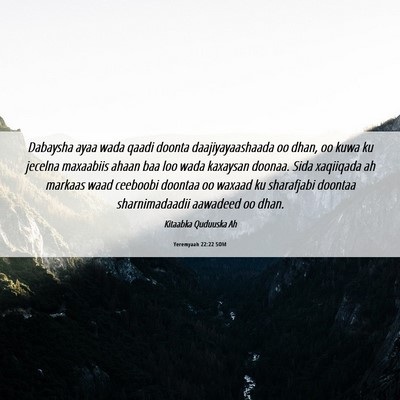 Picture 06 - Yeremyaah 22:22 SOM - Dabaysha ayaa wada qaadi doonta daajiyayaashaada - Bible Verse Picture