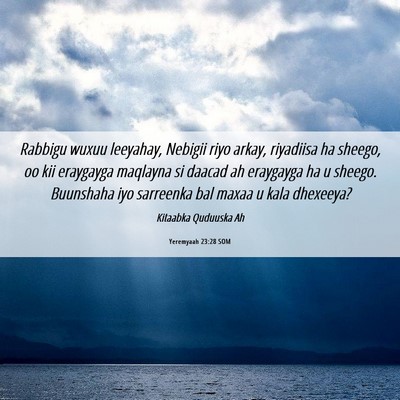 Picture 06 - Yeremyaah 23:28 SOM - Rabbigu wuxuu leeyahay, Nebigii riyo arkay, - Bible Verse Picture