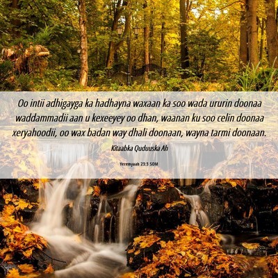 Picture 06 - Yeremyaah 23:3 SOM - Oo intii adhigayga ka hadhayna waxaan ka soo wada - Bible Verse Picture
