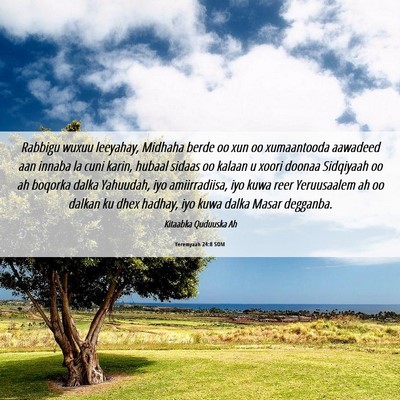 Picture 06 - Yeremyaah 24:8 SOM - Rabbigu wuxuu leeyahay, Midhaha berde oo xun oo - Bible Verse Picture