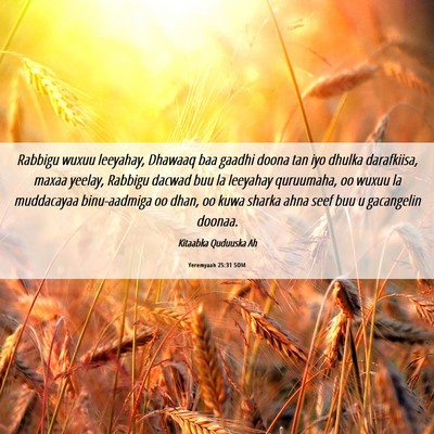 Picture 06 - Yeremyaah 25:31 SOM - Rabbigu wuxuu leeyahay, Dhawaaq baa gaadhi doona - Bible Verse Picture