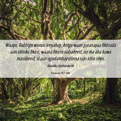 Picture 06 - Yeremyaah 29:11 SOM - Waayo, Rabbigu wuxuu leeyahay, Anigu waan - Bible Verse Picture
